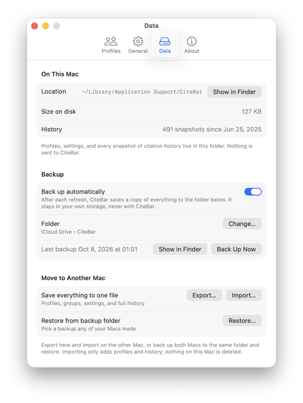 The Data tab: storage location and size, automatic backup to iCloud Drive, and export and import.